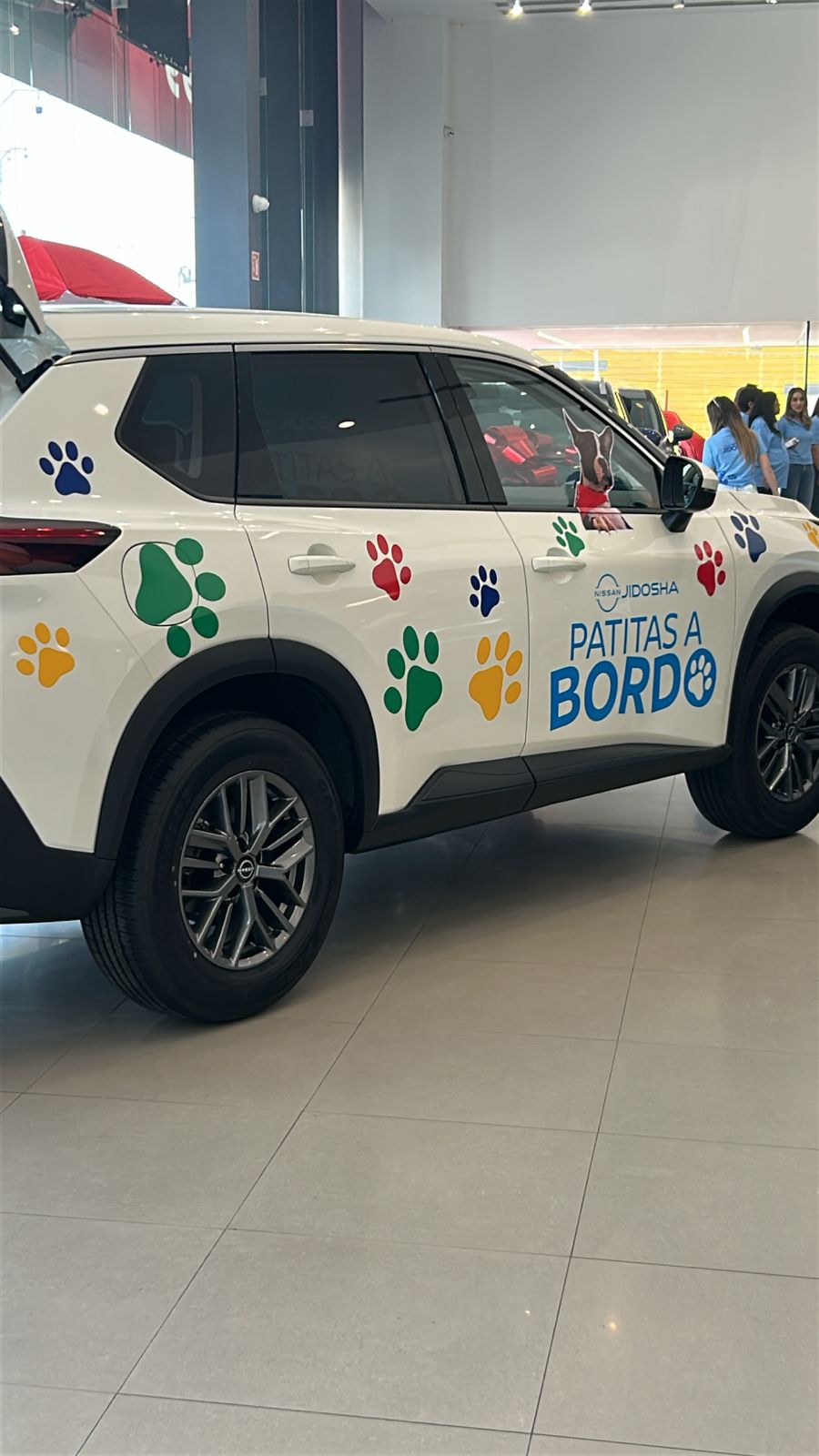 Rotulación vehicular Patitas a Bordo en Monterrey